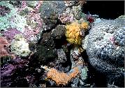 Bonaire 15